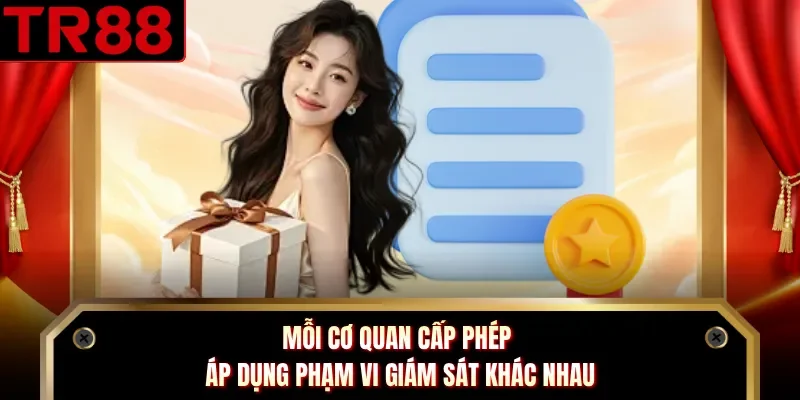 Mỗi cơ quan cấp phép áp dụng phạm vi giám sát khác nhau