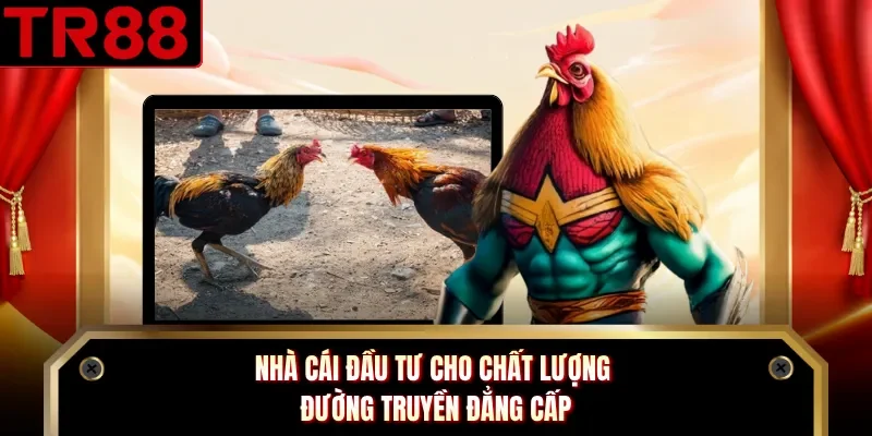 Nhà cái đầu tư cho chất lượng đường truyền đẳng cấp